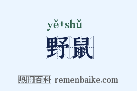 野鼠是什么意思的图片